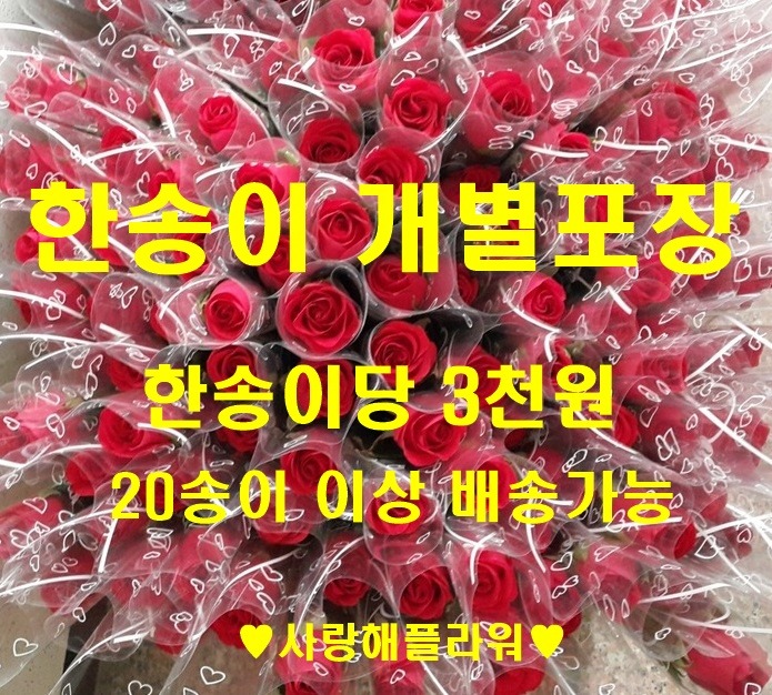 상세이미지