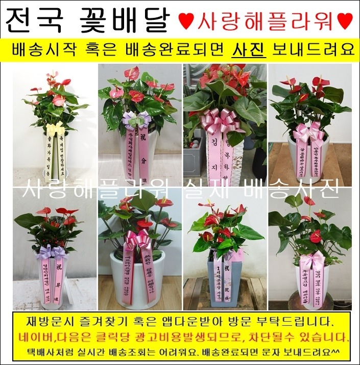 상세이미지