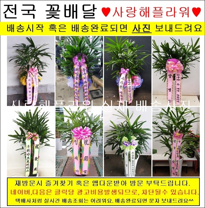 상세이미지