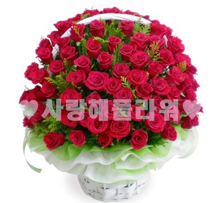 레드백송이