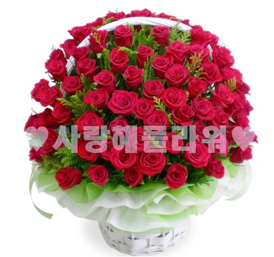 레드백송이