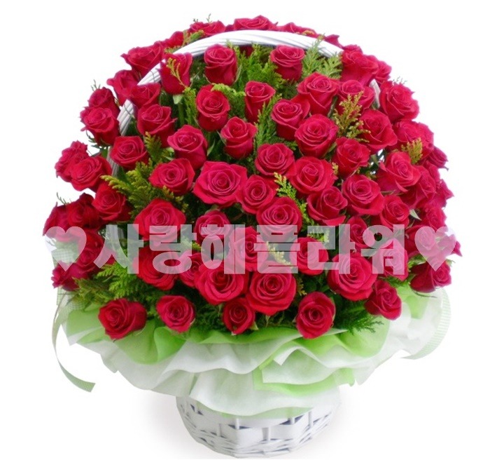 상세이미지