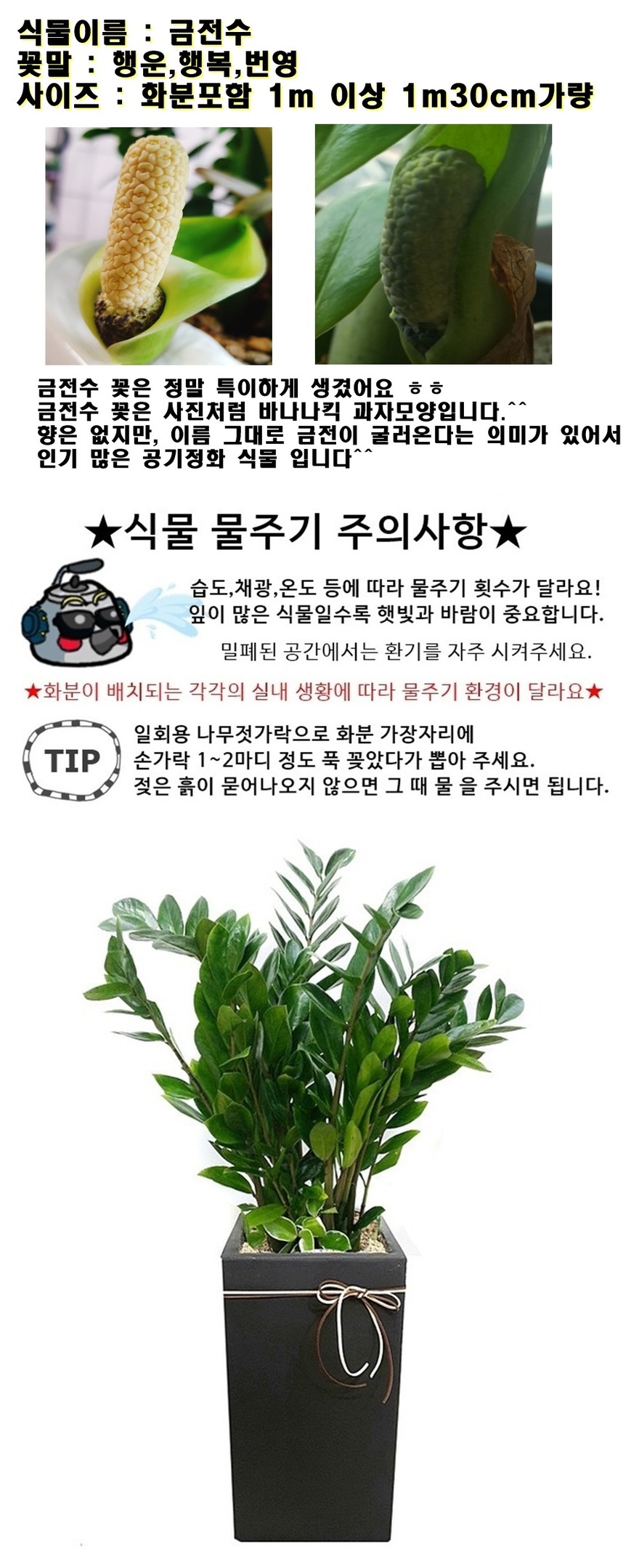 상세이미지