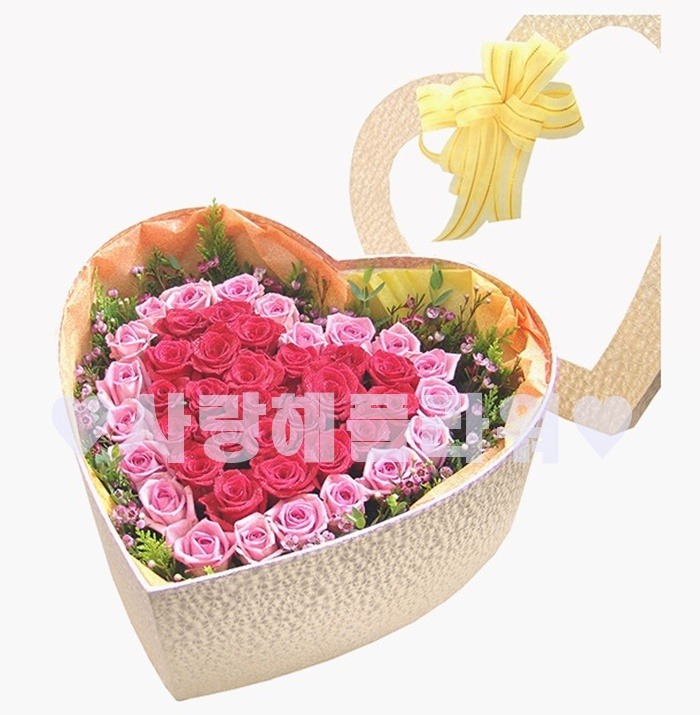 상세이미지