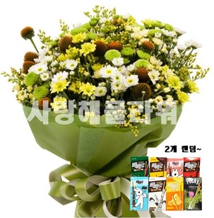 빼빼로 가을그린소국다발