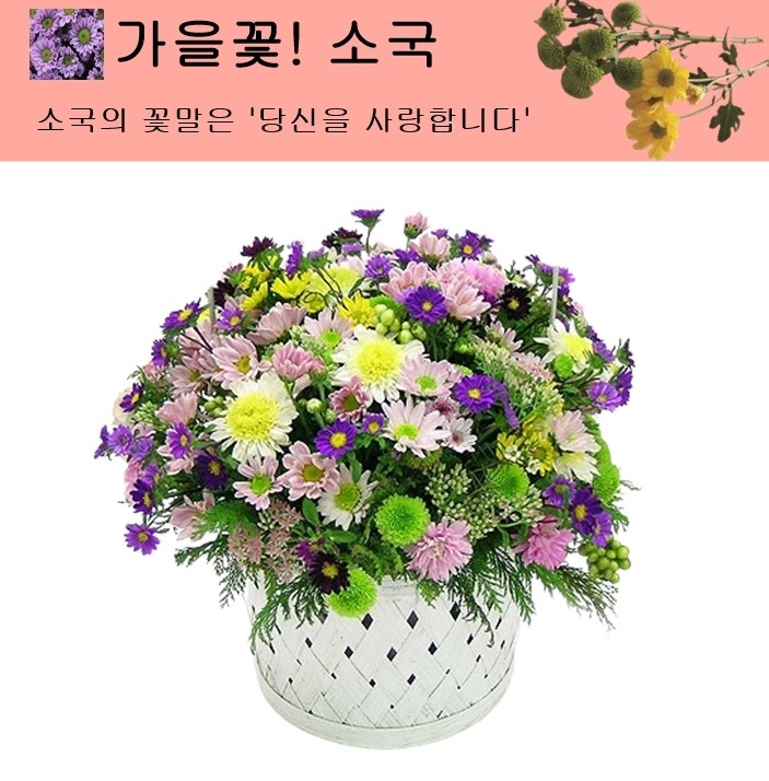 상세이미지