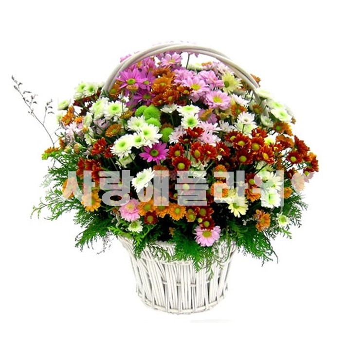 상세이미지