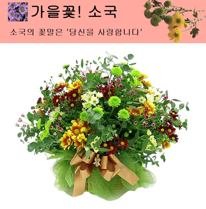상세이미지