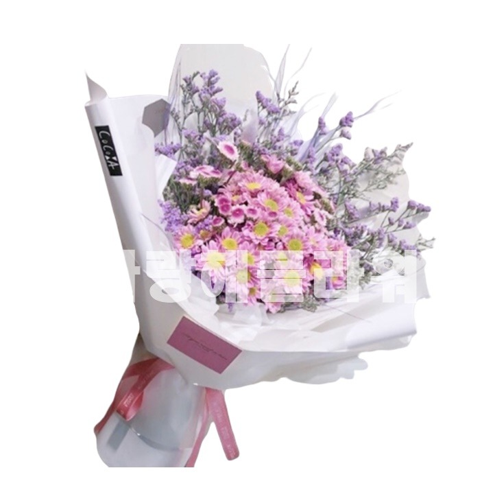 상세이미지