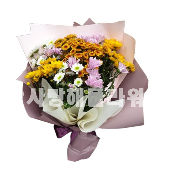상세이미지