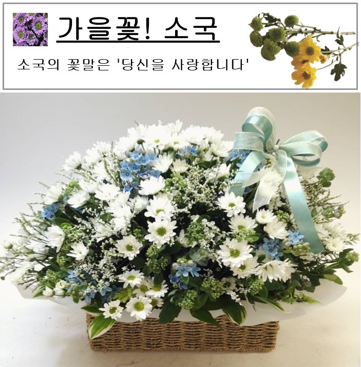 상세이미지