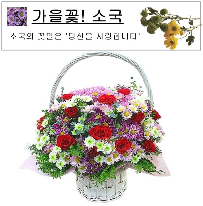 상세이미지