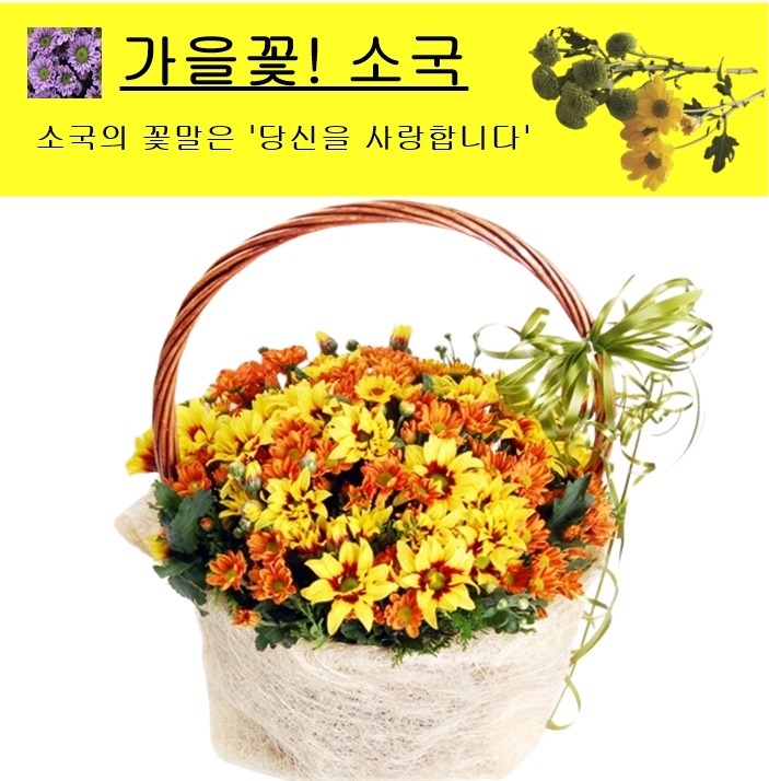 상세이미지