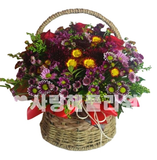 진정한가을 소국바구니