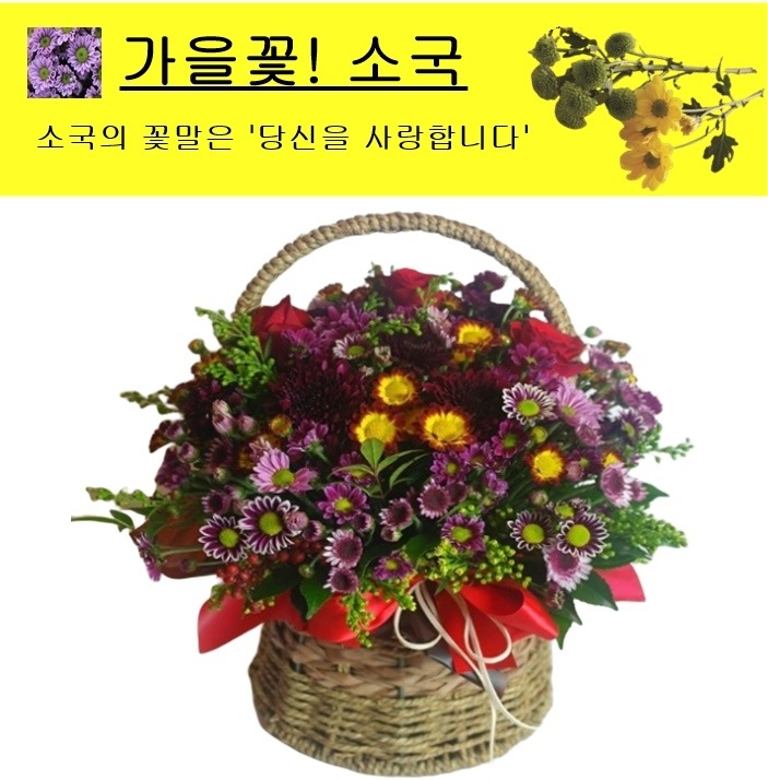 상세이미지