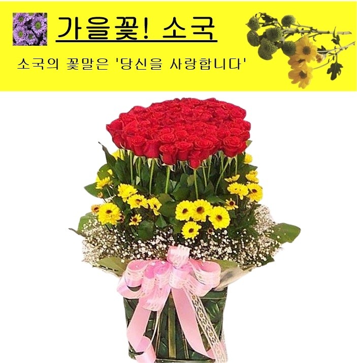 상세이미지