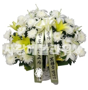 화이트엔젤
