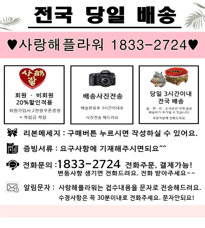 상세이미지