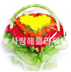 레인보우 100송이