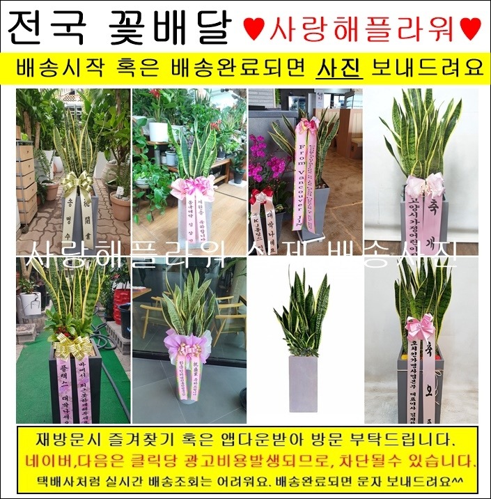 상세이미지