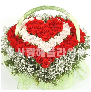 100송이 큐피트