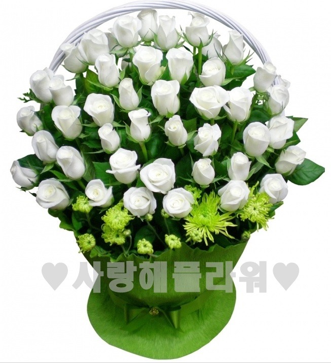 상세이미지