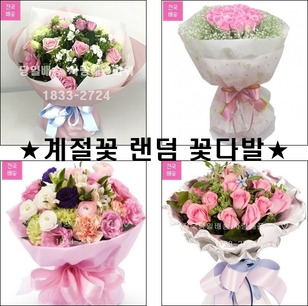초특가★핑크장미 혼합꽃다발★