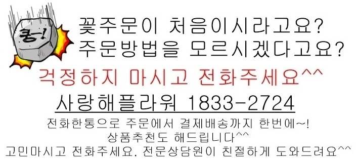 상세이미지