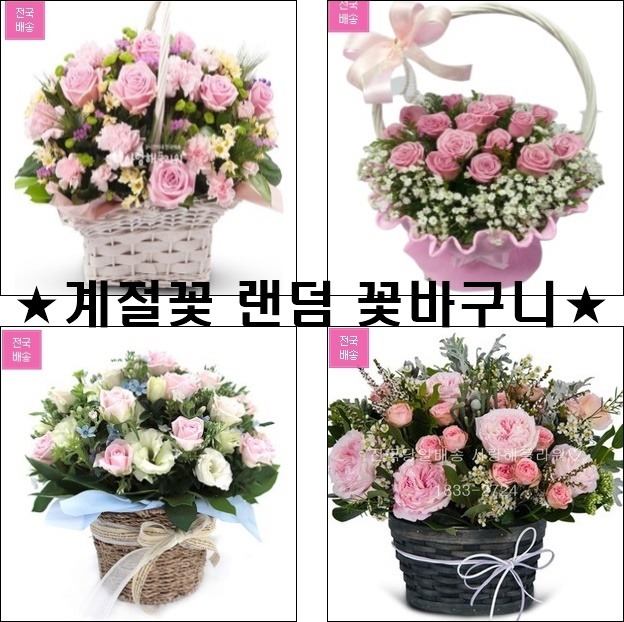상세이미지