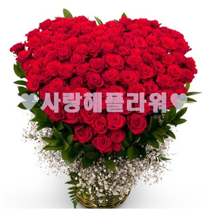 상세이미지
