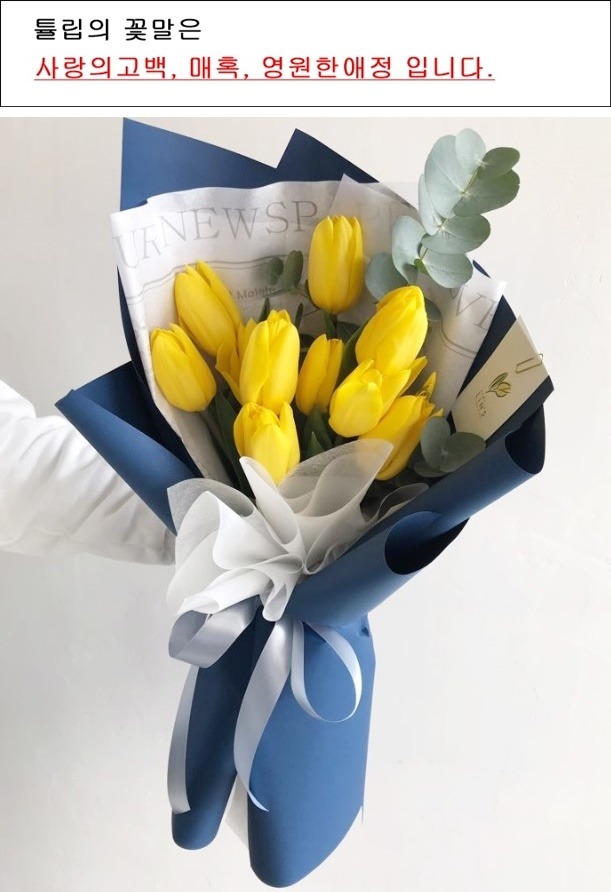 상세이미지