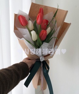 투톤튤립 꽃다발