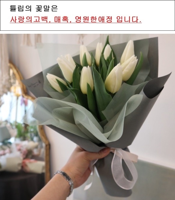 상세이미지