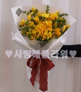 향기한가득 후리지아(봄상품)