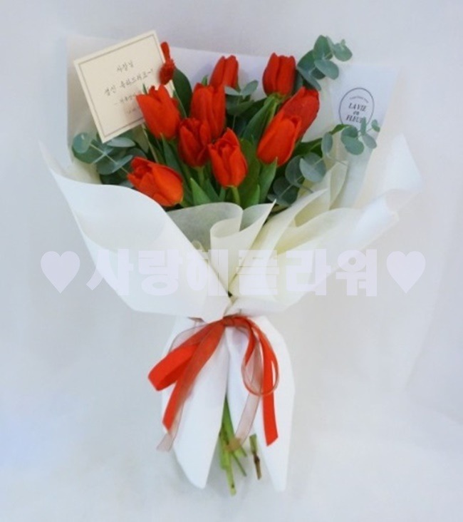 상세이미지