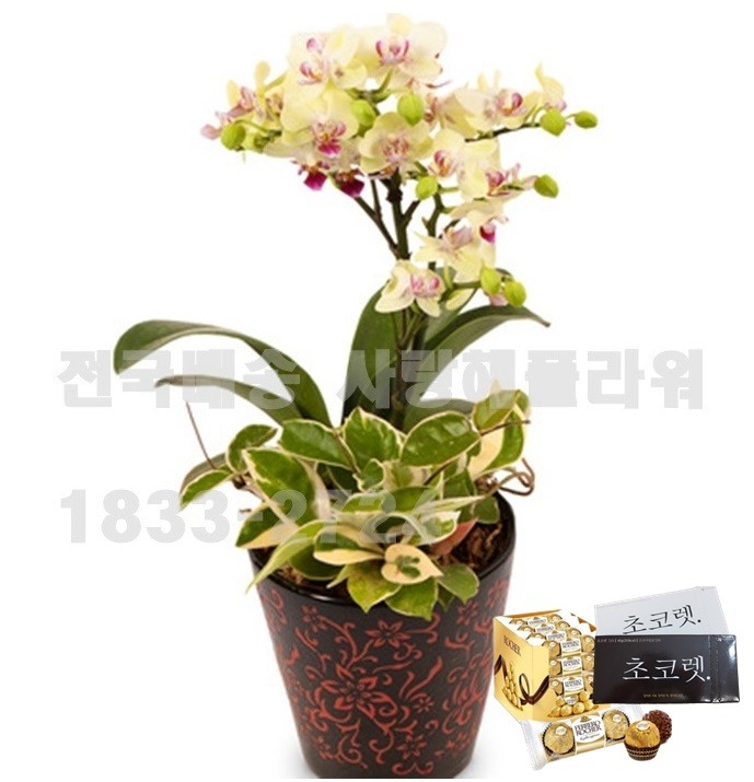 상세이미지