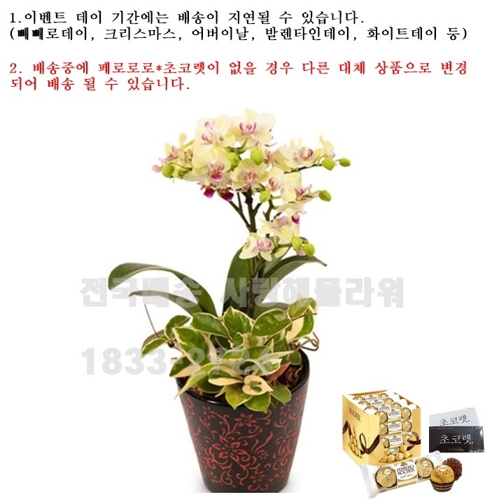 상세이미지