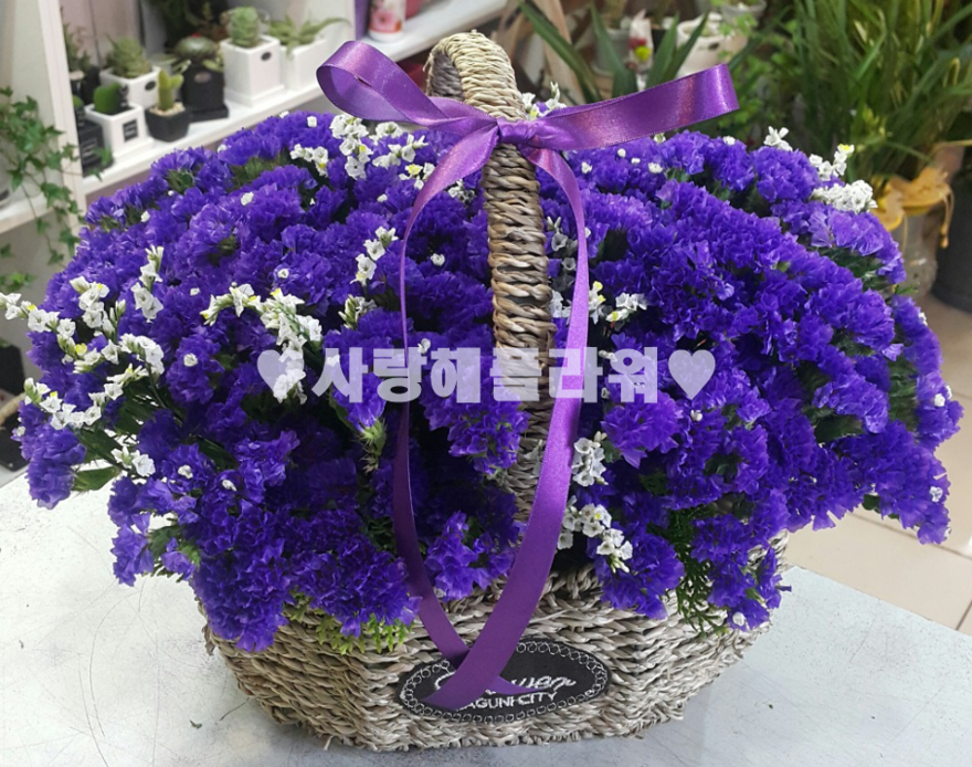 상세이미지