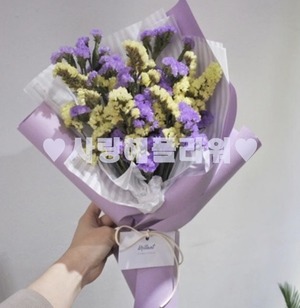 스타보라~
