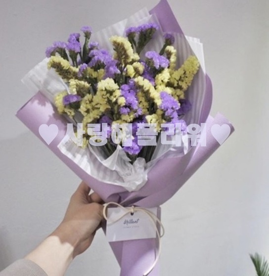 스타보라~