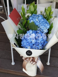 블루수국
