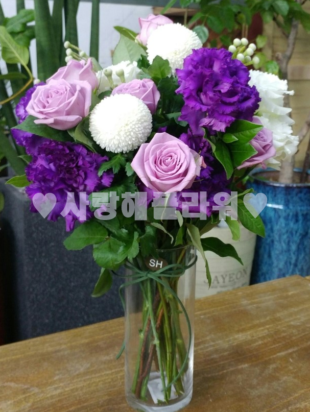 상세이미지
