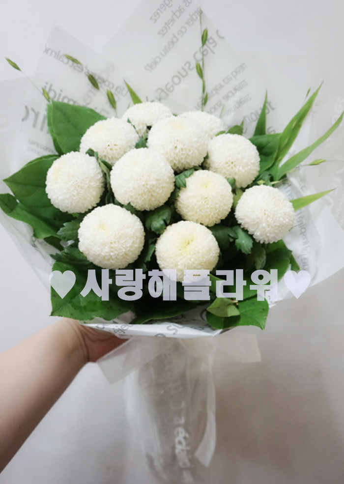 상세이미지