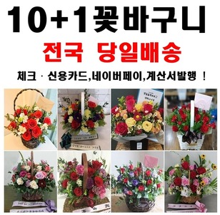 꽃바구니 10+1 특가전