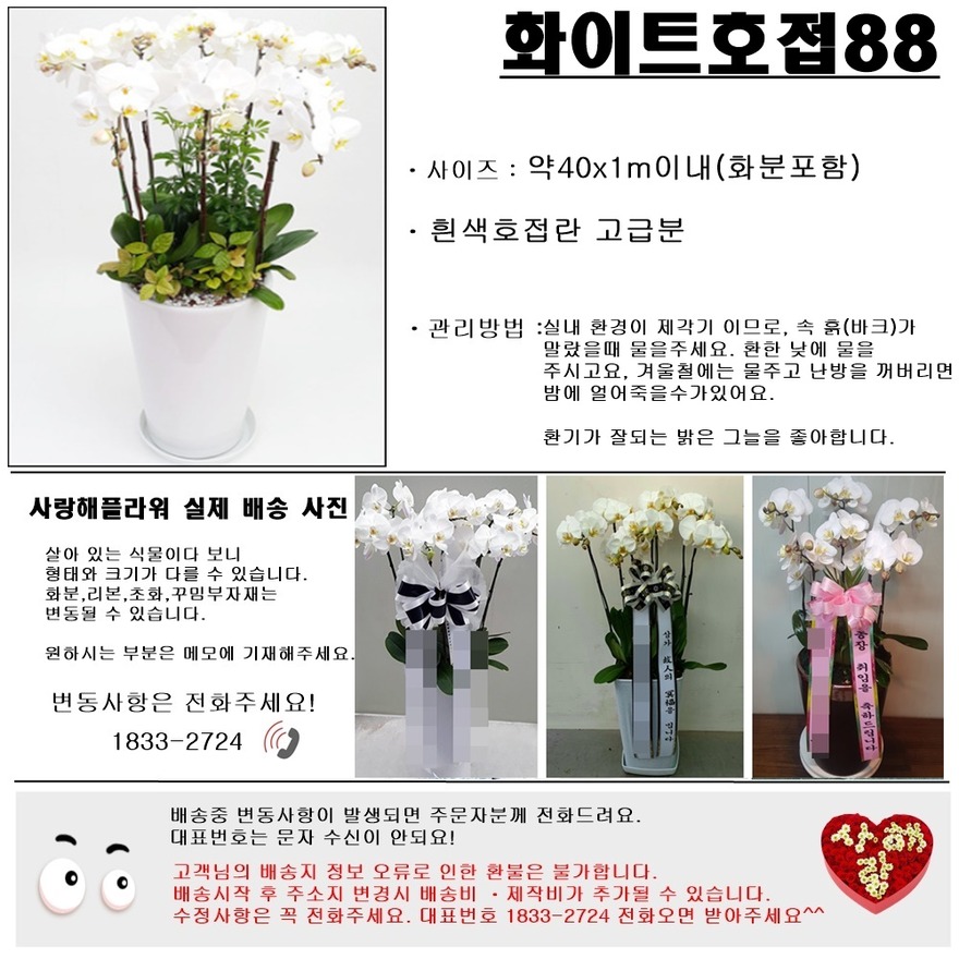 상세이미지