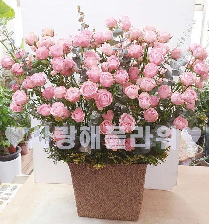 상세이미지