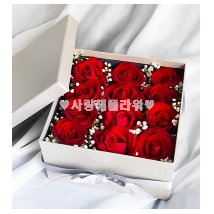 상세이미지