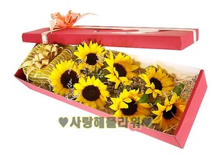 해바라기꽃박스55