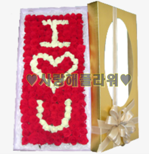 I♥YOU 꽃박스(100송이)
