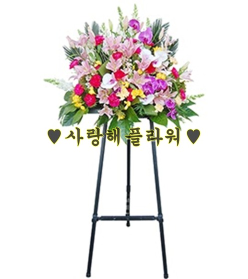 축하스탠드663